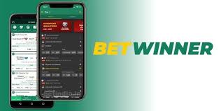 Everything You Need to Know About BetWinner Bookmaker